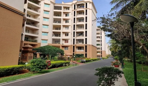 Low-rise apartment blocks along a tree-lined internal road in a Bangalore residential layout